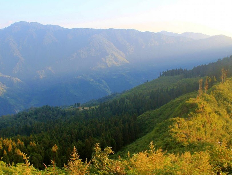 Pedong, Kalimpong, West Bengal - Vushii.com Pedong, Kalimpong, West Bengal - Vushii.com